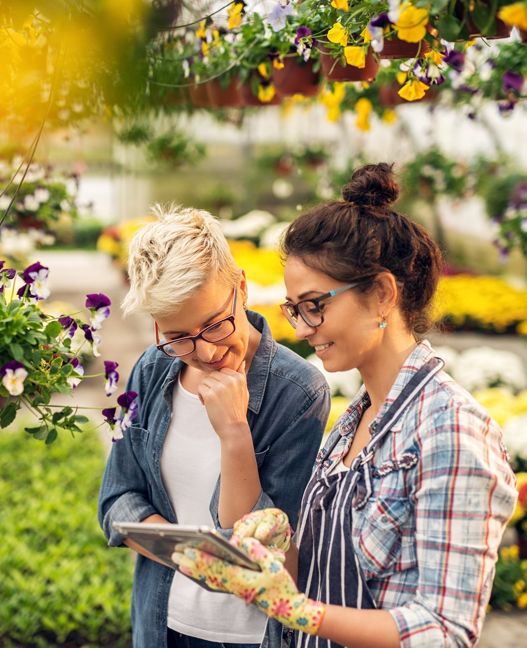 iStock-915892582